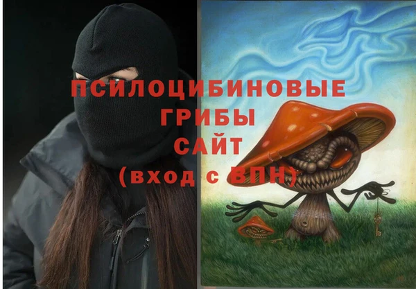 mdma Богородск