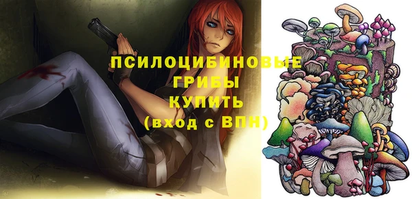 ешки Богданович