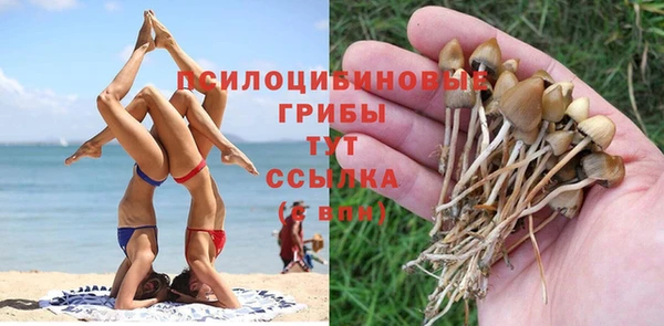 ешки Богданович