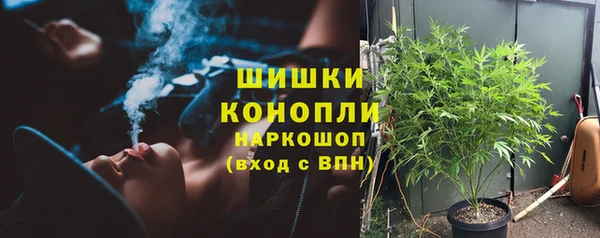 ешки Богданович